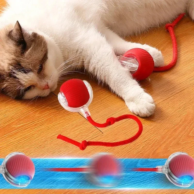 Interactive Automatic Cat Ball Toy-1
