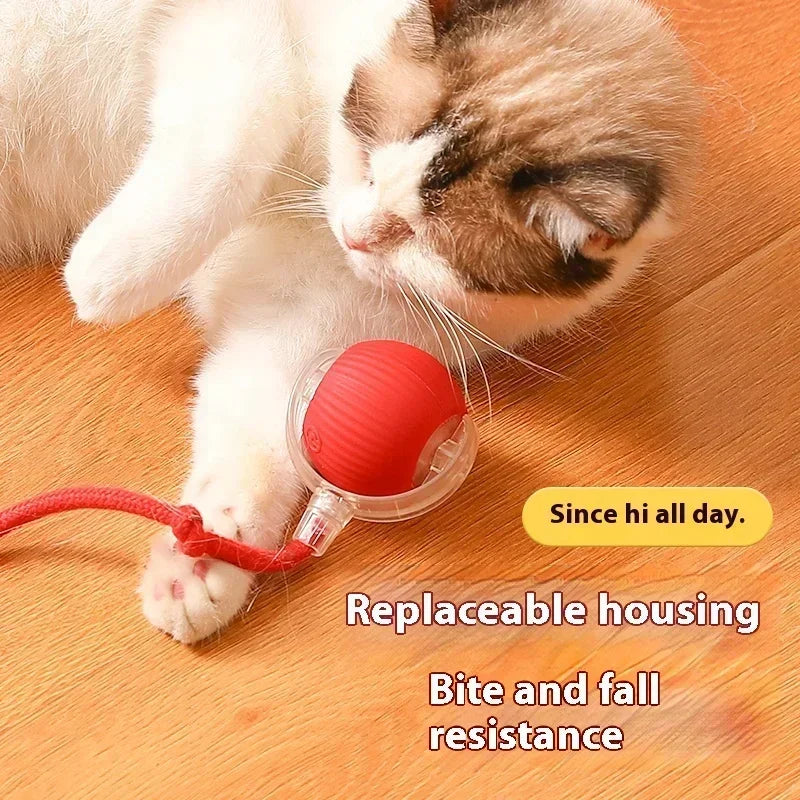 Interactive Automatic Cat Ball Toy-2