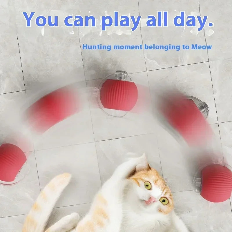 Interactive Automatic Cat Ball Toy-3