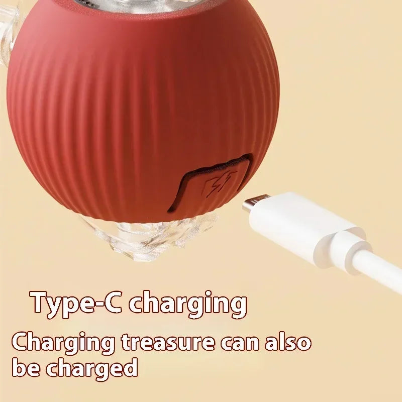 Interactive Automatic Cat Ball Toy-4