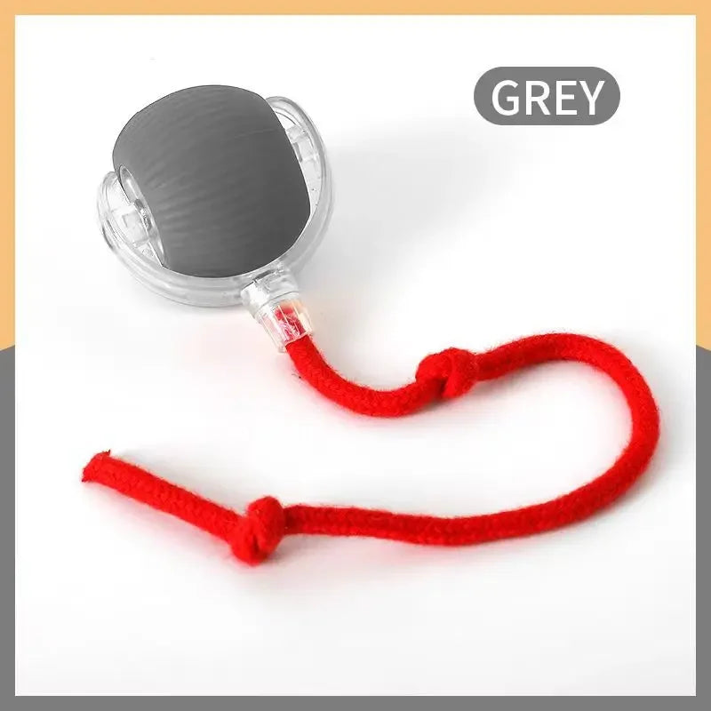 Interactive Automatic Cat Ball Toy-6